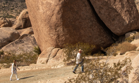 7 Must-Experience Joshua Tree Hikes.